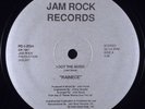 Rainece-I Got The Music 12