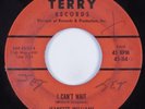 Northern/ R&B Deep Soul 45 JEANETTE WILLIAMS I Can't Wait TERRY HEAR