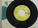 Soul 45 The Charades I Don't Want To Lose You/Never Set Me Free MGM Promo NM