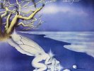 Forse Le Lucciole Non - Locanda Delle Fate (Vinyl Used Very Good)