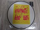 Sex Pistols, There Is No Future, Vinyl Album Picture Disc, EX.
