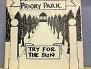 PRIORY PARK Try For The Sun  UK Wild Dog Records Vinyl LP EXCELLENT CONDITION
