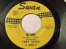 TONY GALLA 