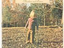 Brothers And Sisters  The Allman Brothers Band  Vinyl Record