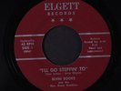 ELVIN ROOKS & BLUE GRASS RAMBLERS: I'll Go Steppin' To / Orange Blossom Special