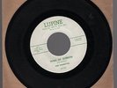 Diana Ross Supremes first record as Primettes on Lupine.