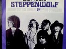 45 rpm Steppenwolf Easy Rider Born To Be Wild Picture sleeve and record N-MINT