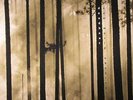 2 x LP: Deadbeat - New World Observer -  scape - sc 027
