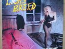 Lions Breed - Damn The Night / LP / Insert / Original 1985 Earthshaker