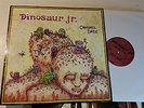 Dinosaur Jr. Chocomel Daze Vinyl LP '87 re 2012 Nirvana Sonic Youth w/dload insr