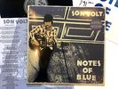 Son Volt: Notes of Blue 12