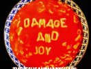 The Jesus And Mary Chain Damage And Joy 2 x 12