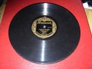 LEE SIMS talking to moon / tenderly ( jazz ) 78 brunswick 3202