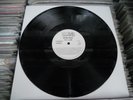 PROMO-MAXI GEORGE HARRISON/MADONNA/DAVID LEE ROTH COMPILATION MEXICAN 12” WLP