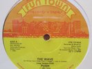 PUSH   THE WAVE (1982) FUN TOWN   RARE PRIVATE KILLER FUNK BOOGIE 12
