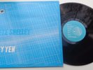 Pete Shelley - Sky Yen (STP 2) EU LP, groovy records 1980