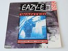 HIP HOP VINYL 12