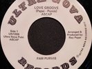 RARE SOUL DISCO FUNK 45  PAM PURVIS 