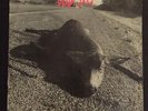 PEARL JAM 'Who Killed Rudolph' 45 RARE 1992 XMAS FAN CLUB Picture Sleeve VINYL