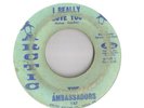 THE AMBASSADORS I REALLY LOVE YOU/youlove me 45 vinyl Northern HEAR