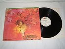 LP - Doldinger´s Motherhood (Udo Lindenberg) MINT # cleaned
