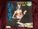 DREAMY MUSIC Hai Shan Lounge Exotica LP