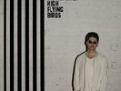 Noel Gallagher's High Flying Birds Chasing Yesterday Vinyl LP New 2015