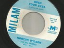 GARAGE PUNK FUZZ ROCKER-  NORTON WILSON & SHADES  -HEAR BOTH  -MILAN.