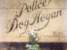 POLICE DOG HOGAN - Wild By The Side Of The Road - Vinyl (gatefold LP)