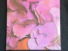 Still Life Still Life Vertigo reissue 180g 12