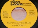 SONNIE 'N BRITE-Rare Modern Soul 45-That's The Way Things Are-SON COOKIE-NOS-NM-
