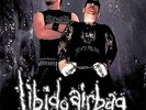 LIBIDO AIRBAG - TESTOSTERONE ZONE LP New GUT Nunwhore Commando 666 SMES