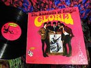 RIPPING 1966 MONO The SHADOWS OF KNIGHT   GLORIA   WIRED FUZZ PUNK BLUES GARAGE