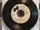 Niagara LU LU MAKES IT / NOT RIGHT NOW Janus Records J-134 RARE Northern Soul VG