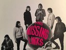 THE MISSING LINKS - The Missing Links 12