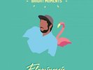 Flamingosis - Bright Moments (Black Vinyl) Vinyl LP NEU 0152919