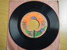 Townes Van Zandt Honky Tonkin' 45 vinyl rare mono & stereo versions 1972 VG+