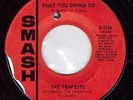 Northern Soul - Tempests - What You Gonna Do **Listen**