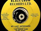 Sugar Cube Blues Band 45  Mississippi Garage My Last Impression Unp. M-