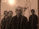 Brand New TOM PETTY 
