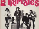 The Primates We Are The Primates NEAR MINT Voxx Records Vinyl LP