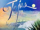 ZZ Top Tejas NEAR MINT Nova Vinyl LP