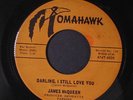 JAMES MCQUEEN: Darling, I Still Love You 45 (slight warp DNAP, incredibly good