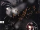 Method Man - Tical '94 LP UK ORG  RZA Raekwon Wu-Tang Clan