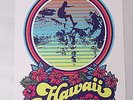 Pearl Jam Honululu Hawaii 2006 Silkscreen Show Poster Ames Bros
