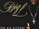 Big L - The Big Picture (1974 - 1999) '00 2xLP US ORG  DJ Premier Lord Finesse
