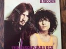 TYRANNOSAURUS REX (T-Rex) 