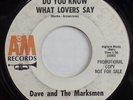 DAVE AND THE MARKSMEN Do You Know What Lovers Say / Food Fair A&M PROMO SURF 45
