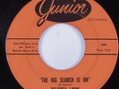 Northern Soul 45 DELORES LYNN The Big Search Is On JUNIOR HEAR