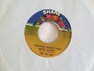 The Ad Libs 'Nothing Worse Than Being Alone' US Share northern soul 45 vgc